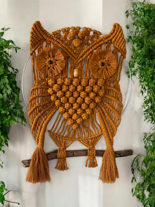 Hoot & Hang – Handcrafted Macrame Owl Wall Hanging